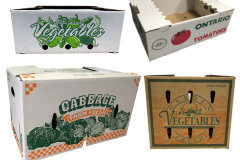 25x Fresh Produce Boxes - Unprinted Bulk Wholesale Cardboard